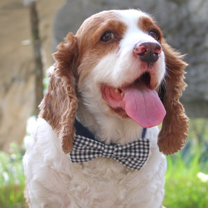 Plaid Black and White Dog Bow Tie